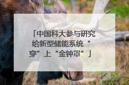 中国科大参与研究 给新型储能系统“穿”上“金钟罩”