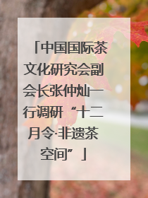 中国国际茶文化研究会副会长张仲灿一行调研“十二月令·非遗茶空间”