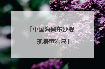 中国海警东沙舰，现身黄岩岛
