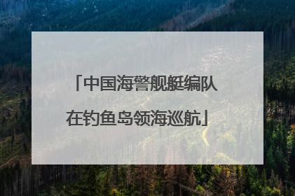 中国海警舰艇编队在钓鱼岛领海巡航