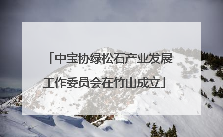 中宝协绿松石产业发展工作委员会在竹山成立