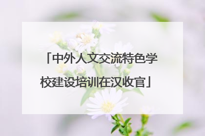 中外人文交流特色学校建设培训在汉收官