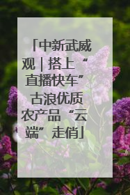 中新武威观｜搭上“直播快车” 古浪优质农产品“云端”走俏