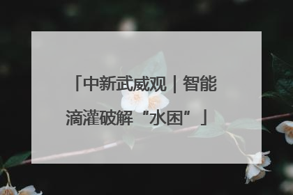 中新武威观｜智能滴灌破解“水困”