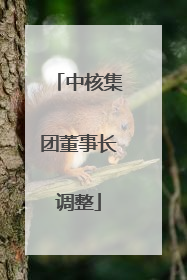 中核集团董事长调整