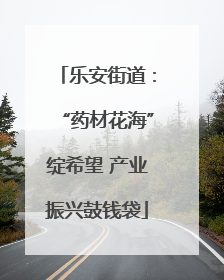 乐安街道：“药材花海”绽希望 产业振兴鼓钱袋
