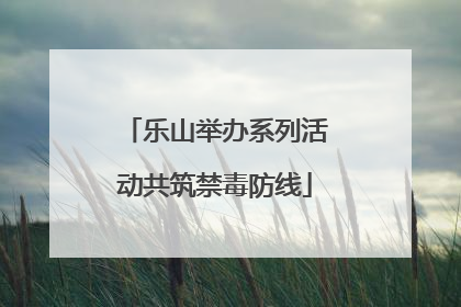 乐山举办系列活动共筑禁毒防线