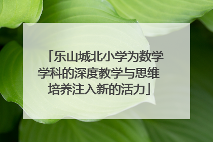 乐山城北小学为数学学科的深度教学与思维培养注入新的活力