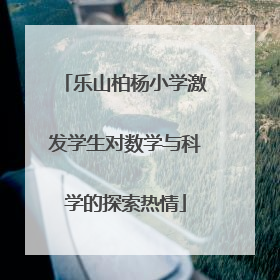 乐山柏杨小学激发学生对数学与科学的探索热情