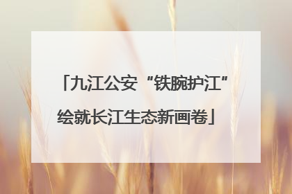 九江公安“铁腕护江”绘就长江生态新画卷
