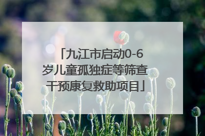 九江市启动0-6岁儿童孤独症等筛查干预康复救助项目