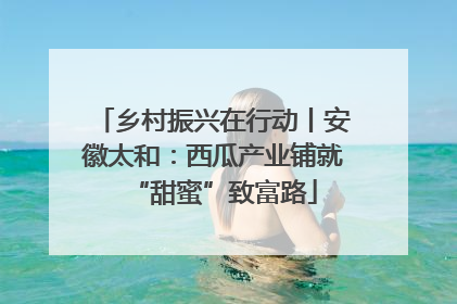 乡村振兴在行动丨安徽太和：西瓜产业铺就“甜蜜”致富路