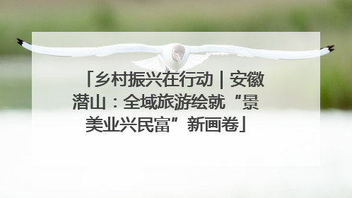 乡村振兴在行动｜安徽潜山：全域旅游绘就“景美业兴民富”新画卷