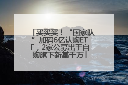 买买买！“国家队”加码6亿认购ETF，2家公募出手自购旗下新基千万