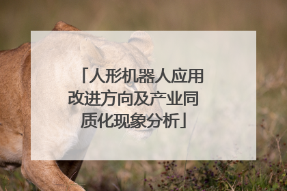 人形机器人应用改进方向及产业同质化现象分析
