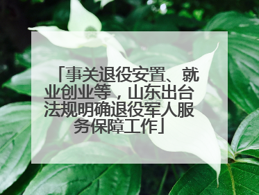 事关退役安置、就业创业等，山东出台法规明确退役军人服务保障工作