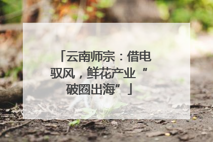 云南师宗：借电驭风，鲜花产业“破圈出海”