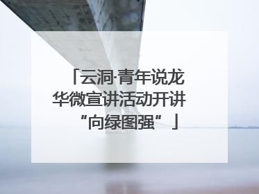 云洞·青年说龙华微宣讲活动开讲“向绿图强”