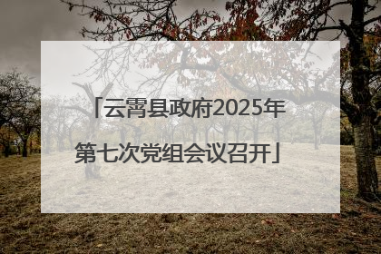 云霄县政府2025年第七次党组会议召开