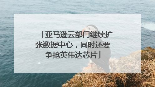 亚马逊云部门继续扩张数据中心，同时还要争抢英伟达芯片