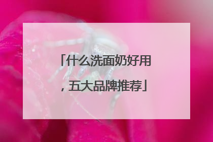 什么洗面奶好用，五大品牌推荐