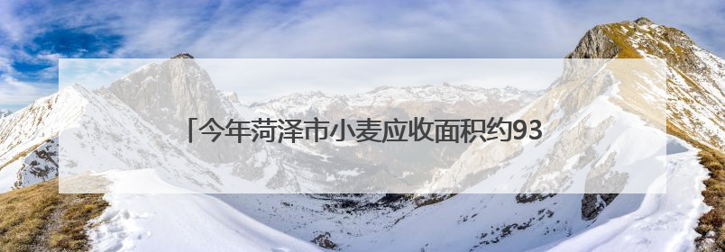 今年菏泽市小麦应收面积约930万亩，超九成小麦已颗粒归仓