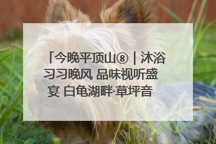 今晚平顶山⑧｜沐浴习习晚风 品味视听盛宴 白龟湖畔·草坪音乐会激情上演