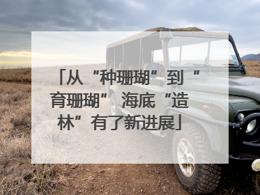 从“种珊瑚”到“育珊瑚” 海底“造林”有了新进展