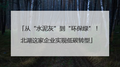 从“水泥灰”到“环保绿”！北湖这家企业实现低碳转型