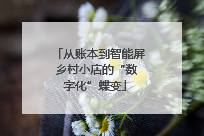 从账本到智能屏 乡村小店的“数字化”蝶变