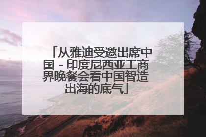 从雅迪受邀出席中国－印度尼西亚工商界晚餐会看中国智造出海的底气