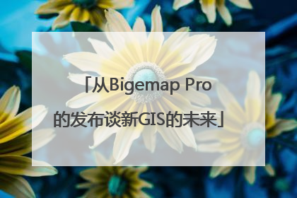从Bigemap Pro的发布谈新GIS的未来