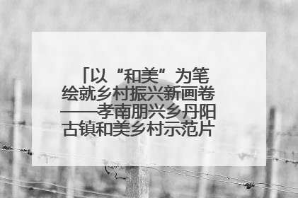 以“和美”为笔 绘就乡村振兴新画卷——孝南朋兴乡丹阳古镇和美乡村示范片区建设综述