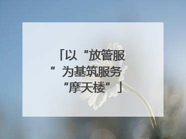 以“放管服”为基筑服务“摩天楼”
