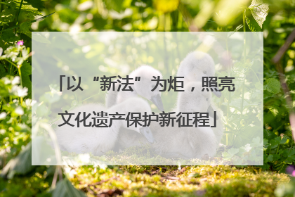 以“新法”为炬，照亮文化遗产保护新征程