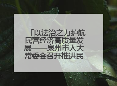 以法治之力护航民营经济高质量发展——泉州市人大常委会召开推进民营经济促进法贯彻实施座谈会