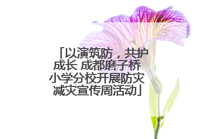 以演筑防，共护成长 成都磨子桥小学分校开展防灾减灾宣传周活动