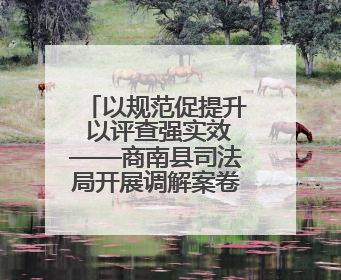 以规范促提升 以评查强实效——商南县司法局开展调解案卷“体检式”评查行动