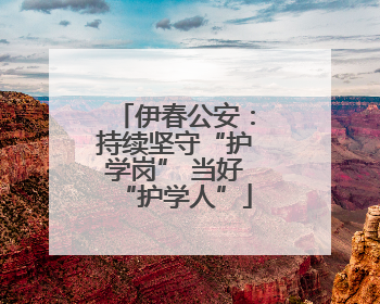 伊春公安：持续坚守“护学岗” 当好“护学人”