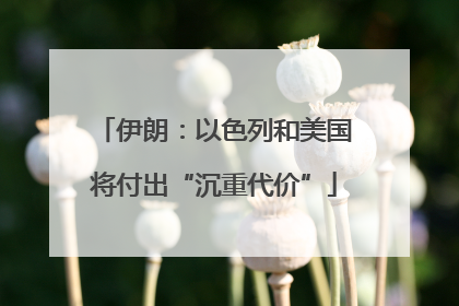 伊朗：以色列和美国将付出“沉重代价”