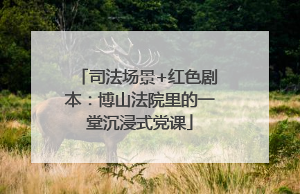 司法场景+红色剧本：博山法院里的一堂沉浸式党课