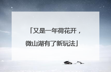 又是一年荷花开，微山湖有了新玩法