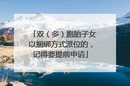 双（多）胞胎子女以捆绑方式派位的，记得要提前申请