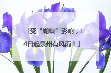 受“蝴蝶”影响，14日起泉州有风雨！