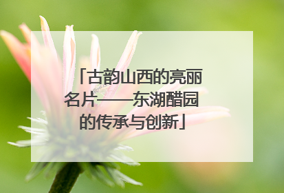 古韵山西的亮丽名片——东湖醋园的传承与创新