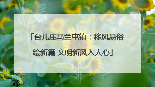 台儿庄马兰屯镇：移风易俗绘新篇 文明新风入人心