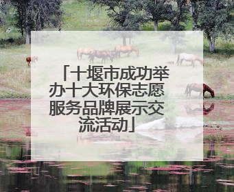 十堰市成功举办十大环保志愿服务品牌展示交流活动