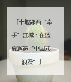 十堰郧西“牵手”江城：在盛夏邂逅“中国式浪漫”