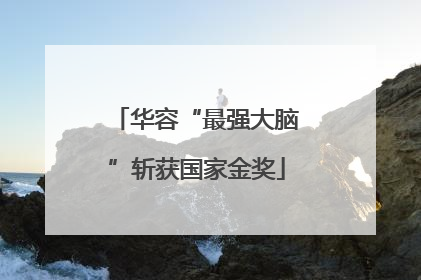 华容“最强大脑”斩获国家金奖