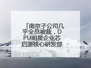 南京子公司几乎全员被裁，DPU明星企业芯启源核心研发部门已人去楼空